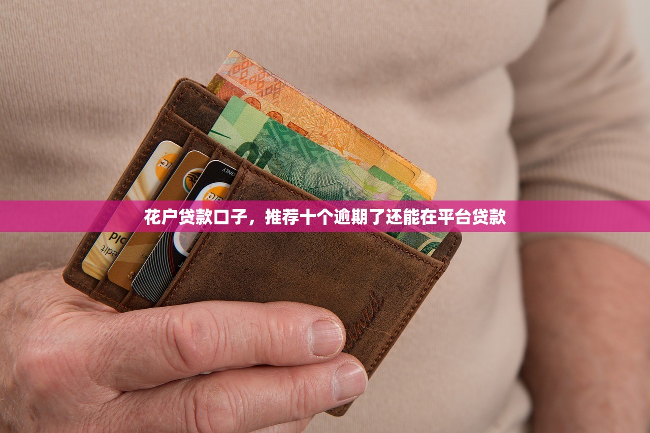 闪银现在还能下款么，解答十家不需要审核的贷款平台