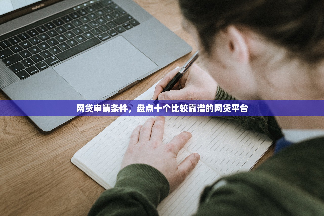 个人借款咨询平台，国内十大征信花了还能下款的几千小额度平台