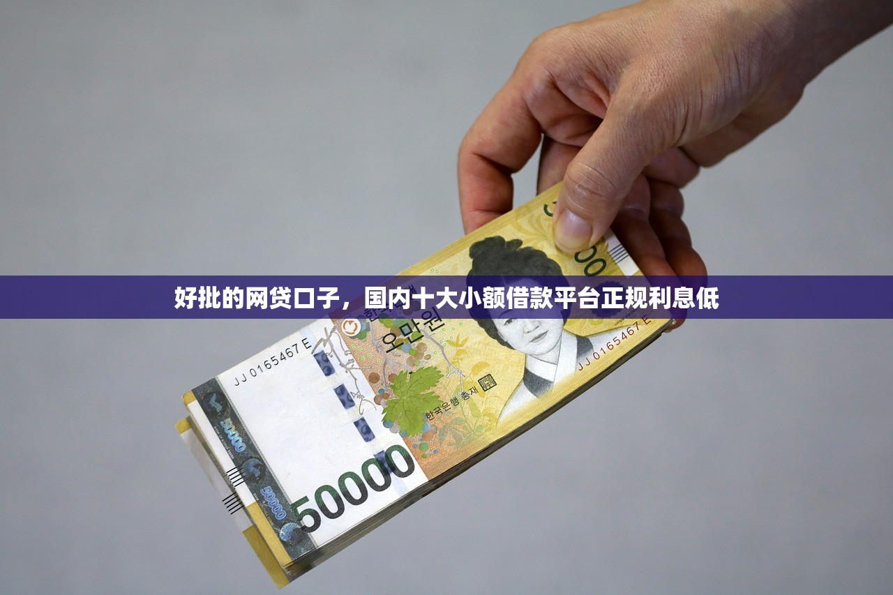 500黑户秒过，国内十大黑户借钱平台