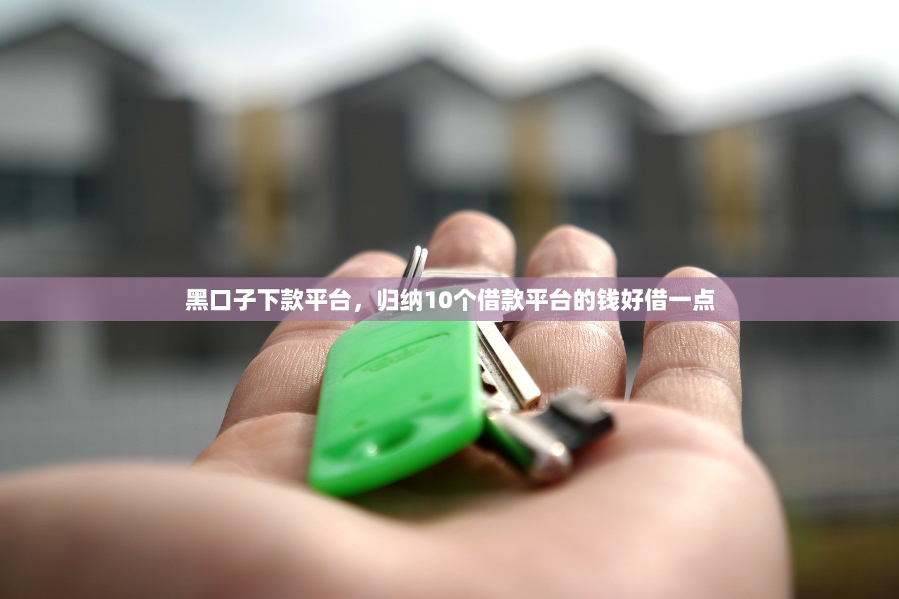 黑口子下款平台，归纳10个借款平台的钱好借一点
