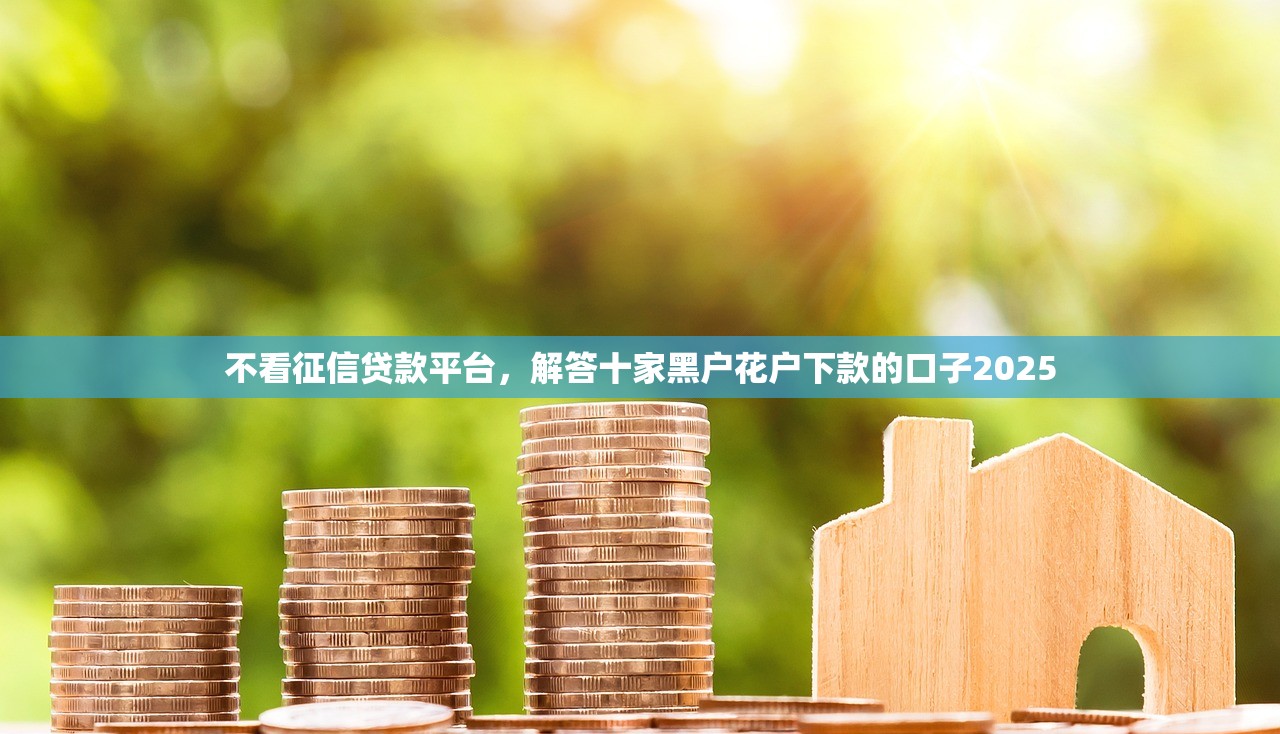 不看征信贷款平台，解答十家黑户花户下款的口子2025