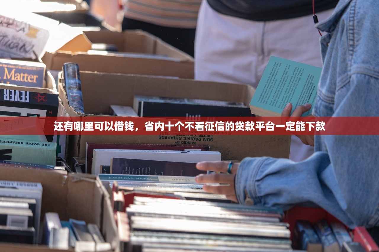 还有哪里可以借钱，省内十个不看征信的贷款平台一定能下款