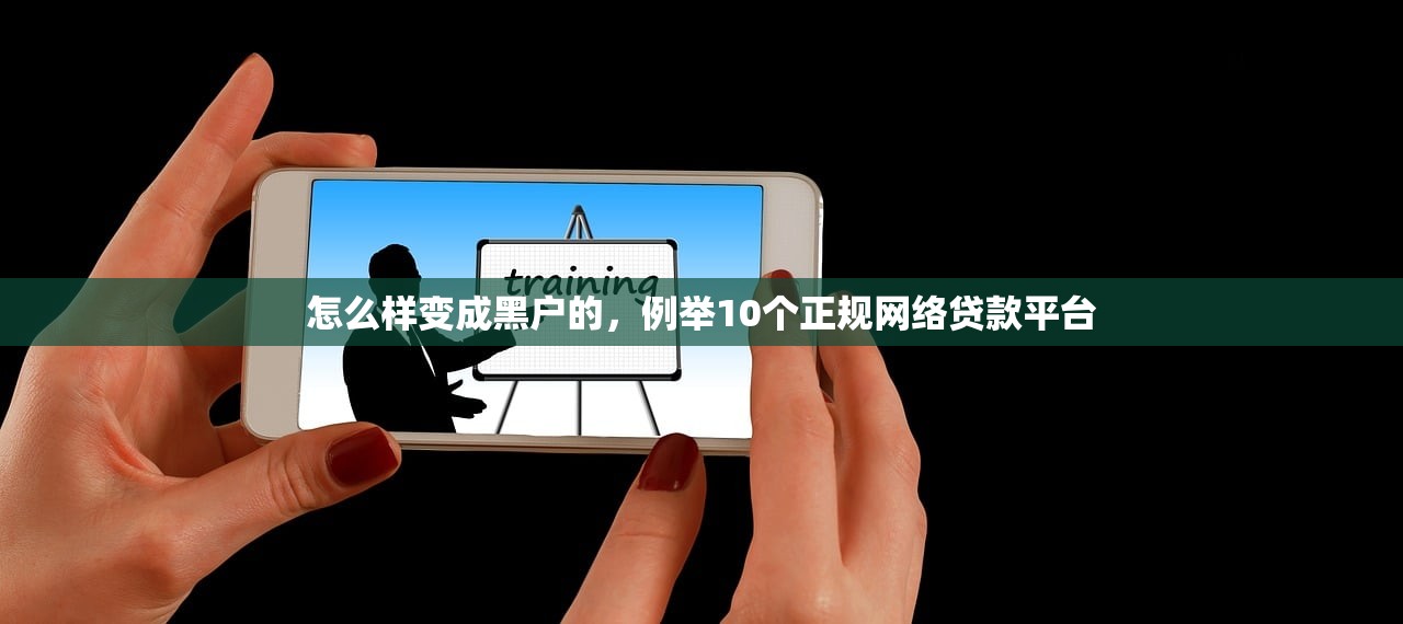 怎么样变成黑户的，例举10个正规网络贷款平台