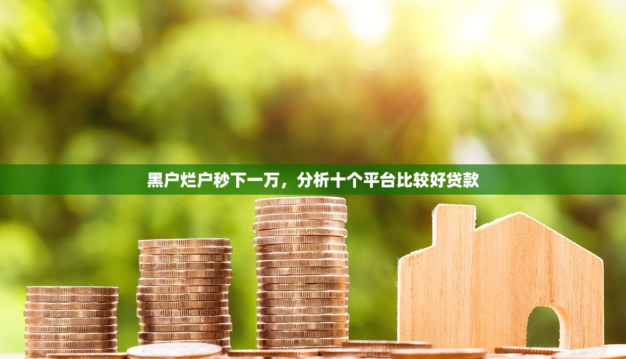 武汉低门槛贷款公司，分析十个什么网贷平台好借钱