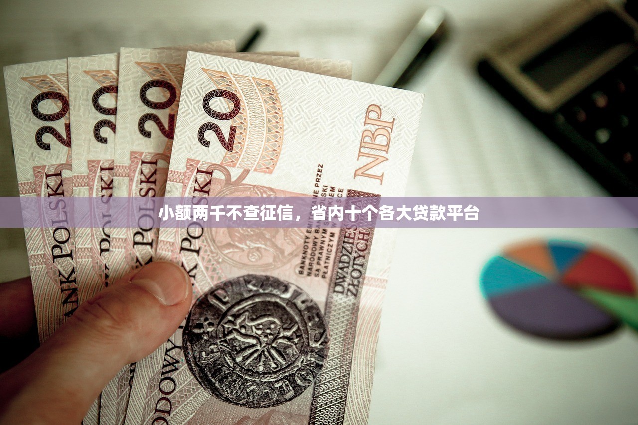 小额两千不查征信，省内十个各大贷款平台