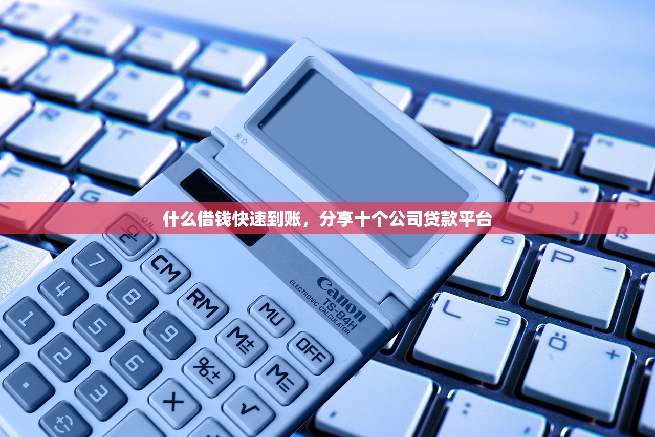 什么借钱快速到账，分享十个公司贷款平台