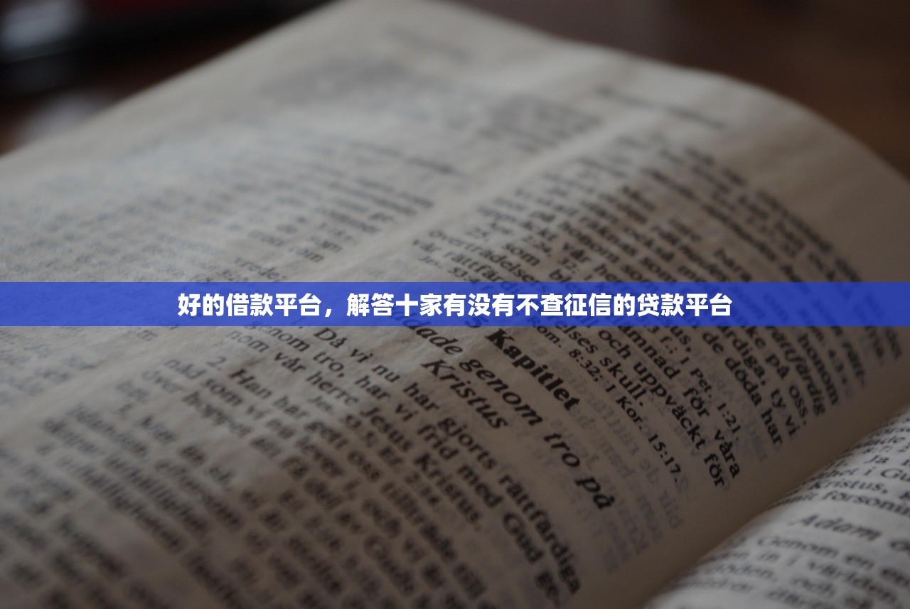 好的借款平台，解答十家有没有不查征信的贷款平台