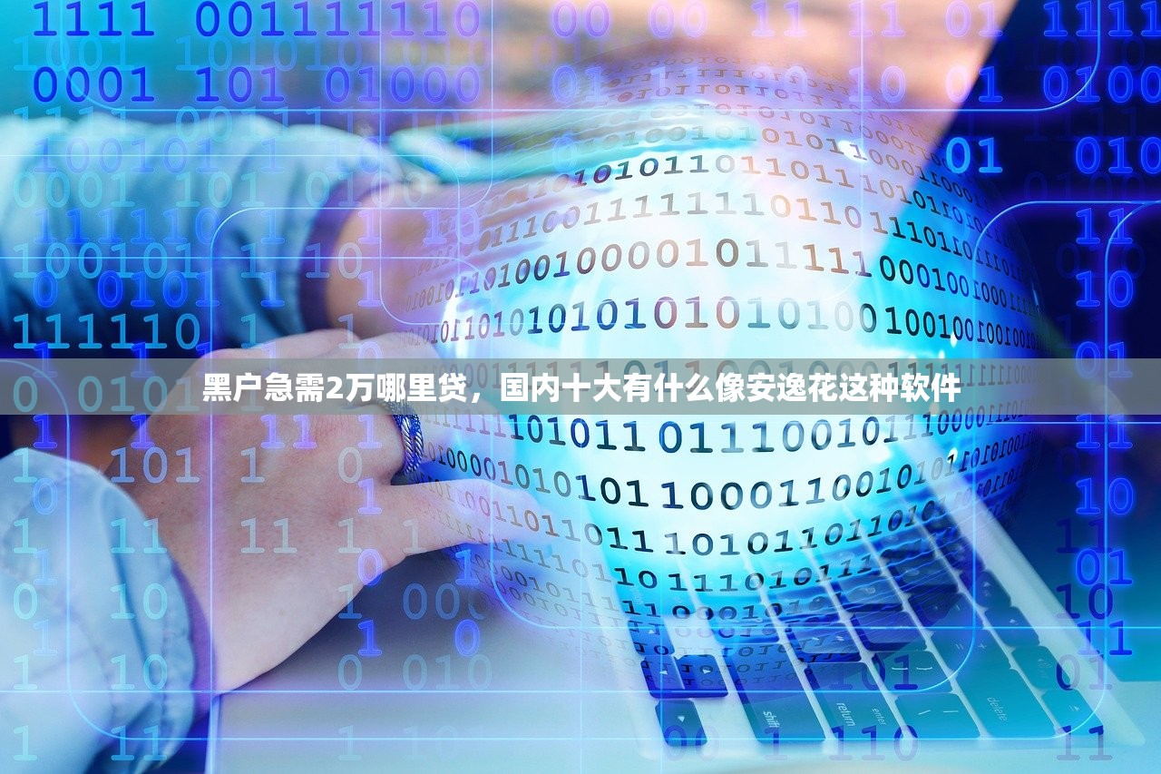 黑户急需2万哪里贷，国内十大有什么像安逸花这种软件
