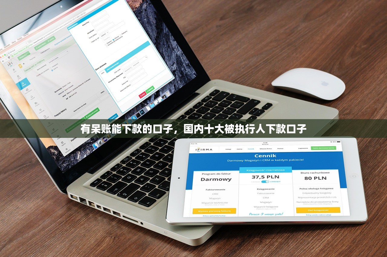 有呆账能下款的口子，国内十大被执行人下款口子