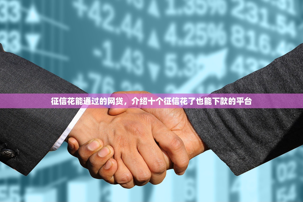 征信花能通过的网贷，介绍十个征信花了也能下款的平台