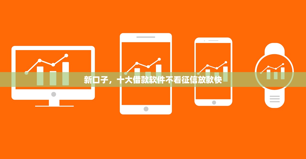 新口子，十大借款软件不看征信放款快