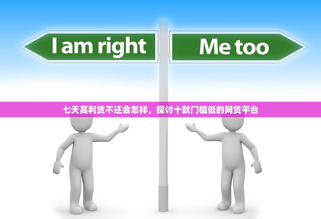 七天高利贷不还会怎样，探讨十款门槛低的网贷平台