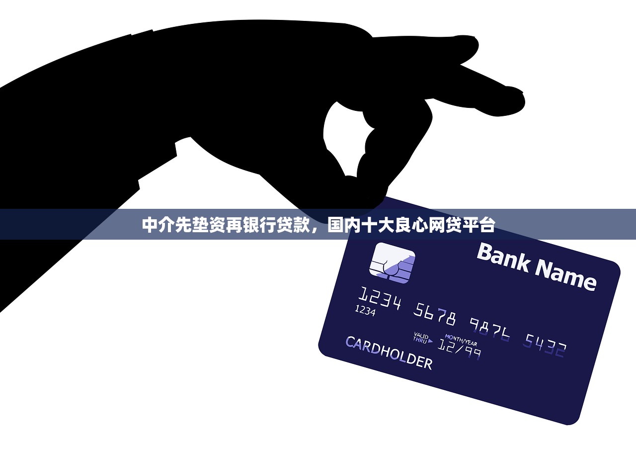 中介先垫资再银行贷款，国内十大良心网贷平台