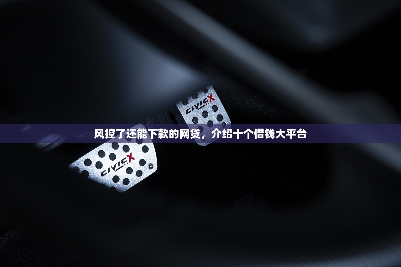 风控了还能下款的网贷，介绍十个借钱大平台