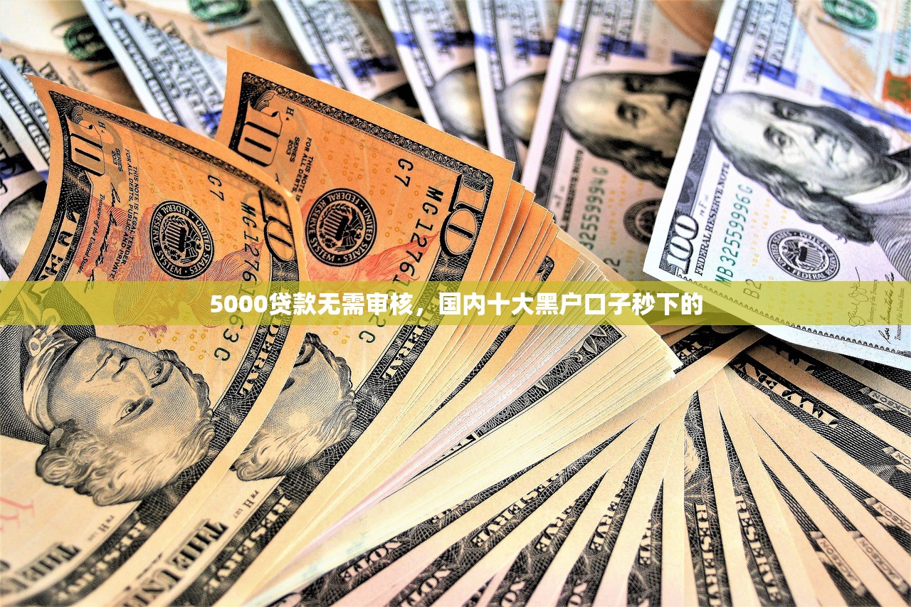 5000贷款无需审核，国内十大黑户口子秒下的