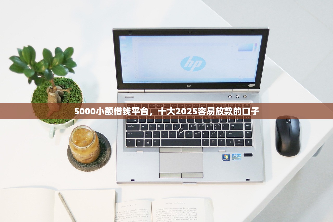 2024短期高炮口子必下款，盘点十个融资平台贷款