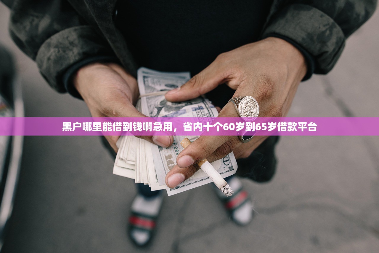 黑户哪里能借到钱啊急用，省内十个60岁到65岁借款平台