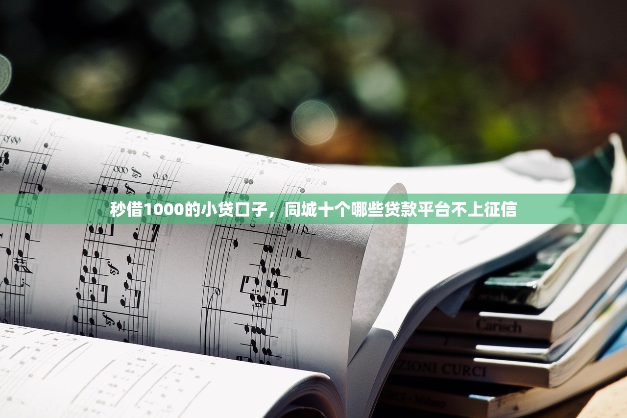 秒借1000的小贷口子，同城十个哪些贷款平台不上征信