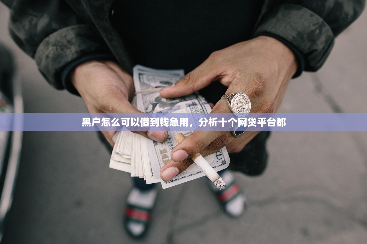 加分贷app入口在哪里啊，国内十大网贷天眼平台