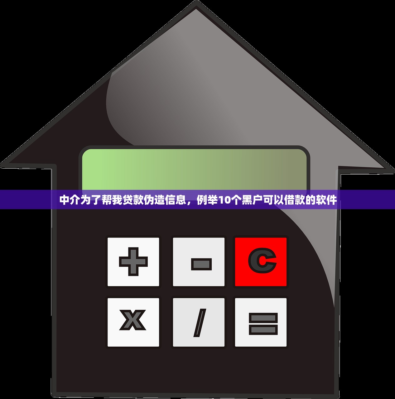 中介为了帮我贷款伪造信息，例举10个黑户可以借款的软件