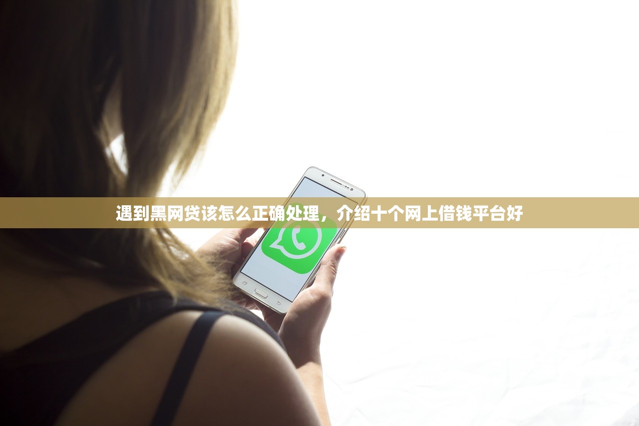遇到黑网贷该怎么正确处理，介绍十个网上借钱平台好