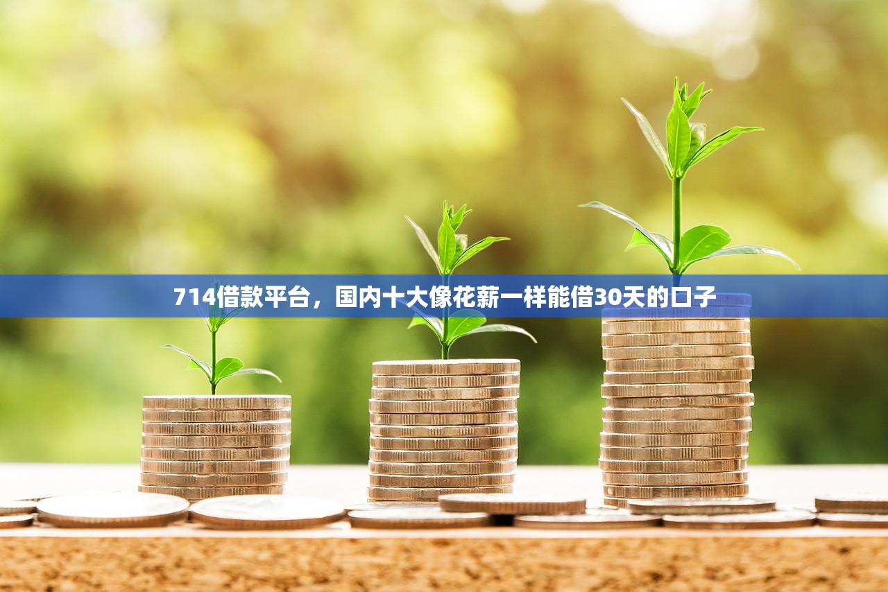 有车就能贷款的正规平台，例举10个大额网贷平台