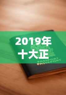 上海信贷公司怎么选？这份避坑指南助你找到靠谱贷款方案