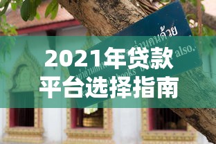 2023年贷款人群必看：十大靠谱平台推荐及避坑指南