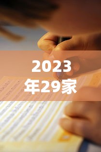 2023年29家正规贷款平台评测与申请指南