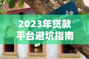 2023年贷款平台避坑指南：这6类平台千万别碰！