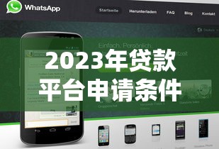 2023年贷款平台申请条件全解析