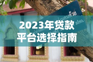 2023年贷款平台选择指南:避坑技巧与真实测评 2023年贷款平台选择指南:避坑技巧与真实测评