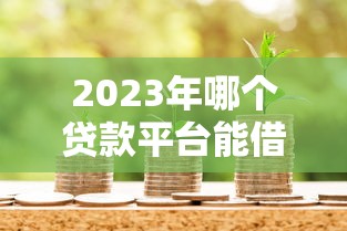 2023年正规大额贷款平台测评：最高50万额度申请攻略