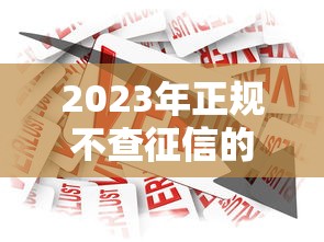 2023年正规不查征信的贷款平台推荐  安全借款必看指南