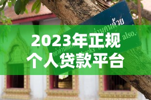 2023年正规个人贷款平台选择指南与避坑技巧 2023年正规个人贷款平台选择指南与避坑技巧