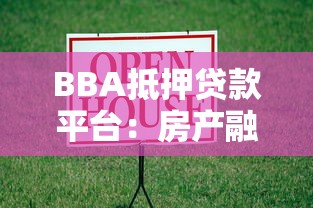 BBA抵押贷款平台：房产融资的灵活选择与避坑指南