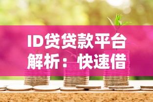 ID贷贷款平台解析：快速借款流程与风险防范指南