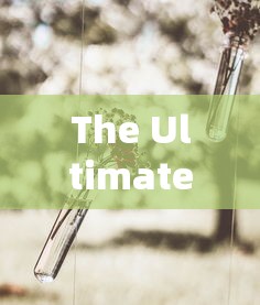 The Ultimate Guide to English Names and Features of Global Online Lending Platforms