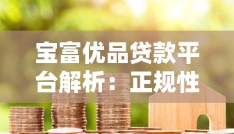 宝富优品贷款平台解析：正规性、额度、申请条件全揭秘