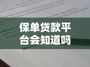 保单贷款平台会知道吗？解析隐私安全与贷款记录关系