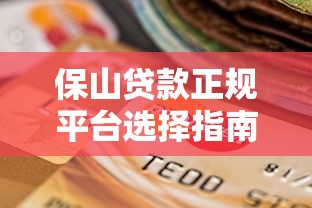保山贷款正规平台选择指南及申请流程解析
