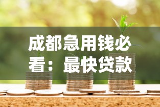 成都急用钱必看:最快贷款平台选择指南 成都急用钱必看:最快贷款平台选择指南