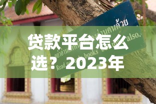 肥东本地贷款平台推荐：正规渠道与避坑指南