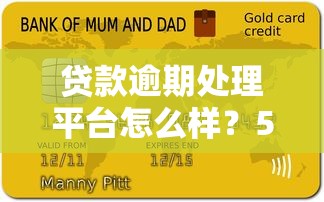 贷款逾期处理平台怎么样？5个避坑指南必看
