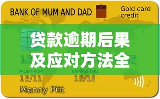 贷款逾期后果及应对方法全解析