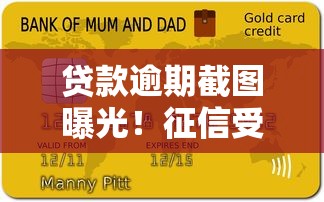 贷款逾期截图曝光！征信受损后如何补救