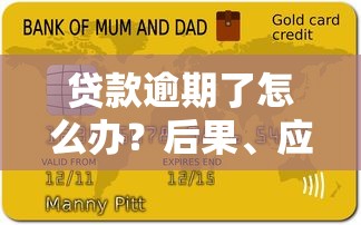 贷款逾期了怎么办？后果、应对方法及预防指南