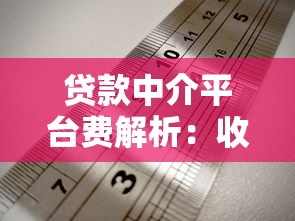 贷款中介平台费解析：收费标准、避坑指南及注意事项