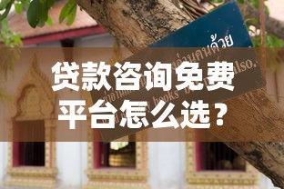 贷款咨询免费平台怎么选？这份避坑指南请收好