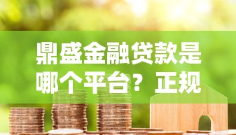 鼎盛金融贷款是哪个平台？正规吗？一文看懂申请流程与注意事项
